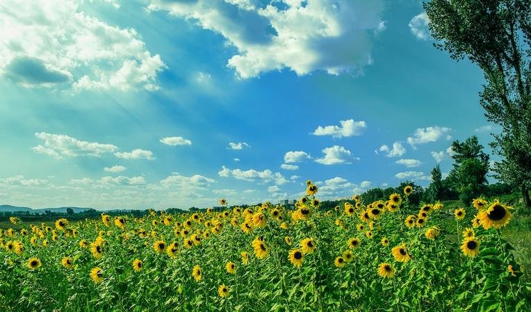 Pourquoi l’âme cherche toujours la beauté